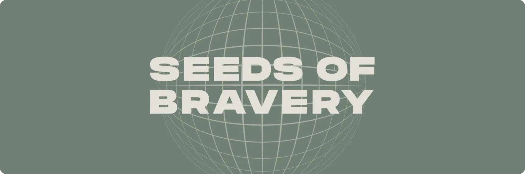 PayKit став учасником європейської програми UASEED (Seeds of Bravery)